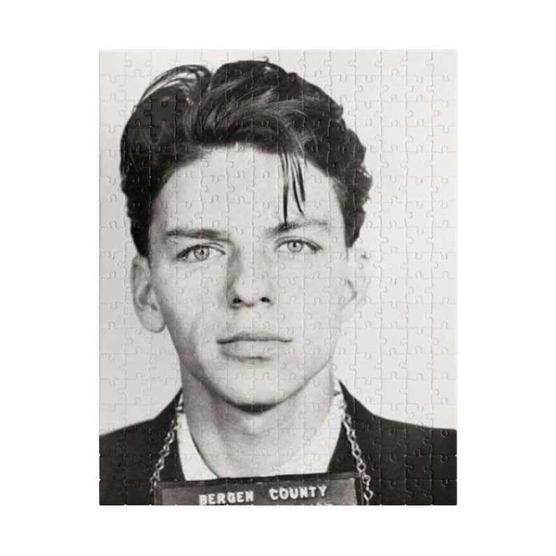 Frank Sinatra Prison Mugshot Jigsaw Puzzle 110 252 500 Etsy