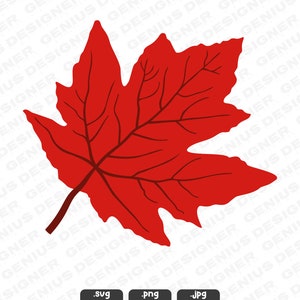 Maple Leaf SVG | Fall Autumn Leaf Svg | Fall Leaf PNG | Leaves Cut File | Leaf Silhouette | Autumn Fall Svg | Maple Fall Cut File for Cricut