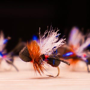3 Pack, Fly Ant 2.0
