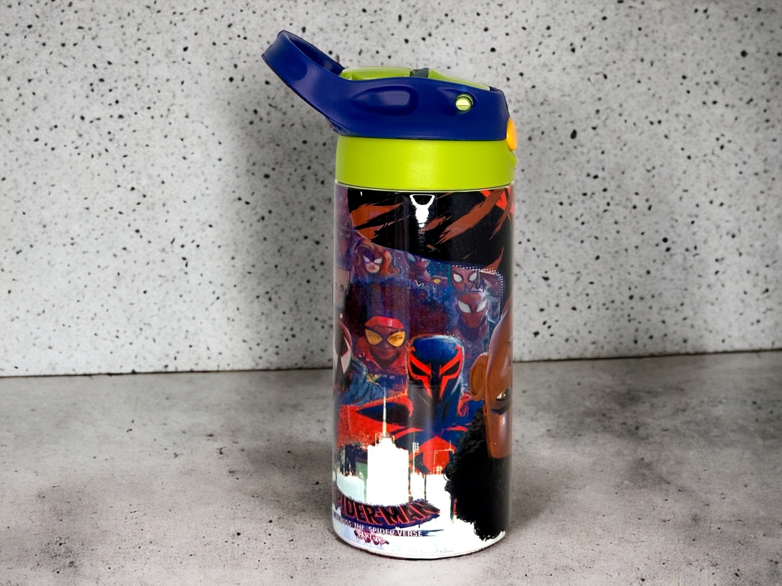 New Spiderman Across The Spider Verse Plastic Scenic Water Bottle