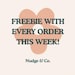 www.nudgeandco.shop favicon