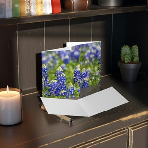 Greeting Cards Texas Bluebonnets