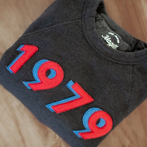 Custom Year Sweatshirt, Personalized Milestone Birthday Gift, Wool Felt Number Crewneck, Graduation Year Sweatshirt, Est Year Sweatshirt