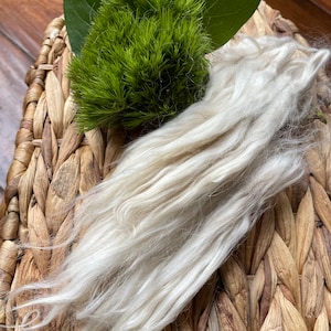Primrose Washed, conditioned, and combed Suri alpaca fiber (1 oz)