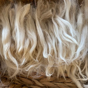 Alice 1oz Raw Suri Alpaca fiber white (unwashed)
