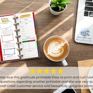May include: A red and white printable planner with the word "Wellness" on the cover. The planner is open to a page with sections for "New Lows I Slept", "Meals", and "Goals".
