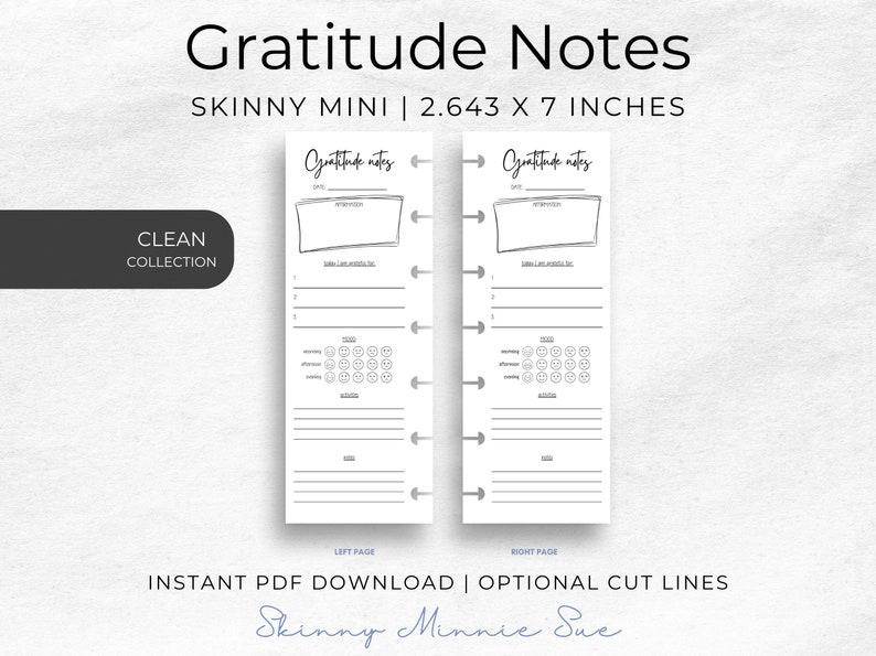 Photo of left and right pages for the Skinny Mini Planner, pages are the same and show place to record: date, affirmation, 3 things you are grateful for, mood in morning and afternoon and evening, activities and notes. Mood has 5 smiley face options.