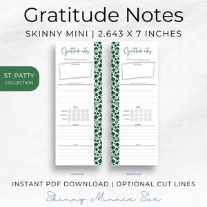 Photo of left and right pages for the Skinny Mini Planner, pages are the same and show place to record: date, affirmation, 3 things you are grateful for, mood in morning and afternoon and evening, activities and notes. Mood has 5 smiley face options.