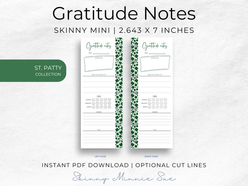 Photo of left and right pages for the Skinny Mini Planner, pages are the same and show place to record: date, affirmation, 3 things you are grateful for, mood in morning and afternoon and evening, activities and notes. Mood has 5 smiley face options.