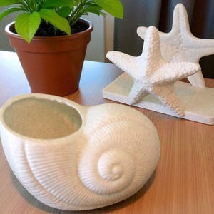 Coastal Decor Set: Starfish Tissue Holder & Seashell Container