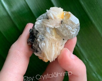 Flashy Pink/Peach-Orange Barite Flowers with Gemmy Cerussite on Sparkly Galena | High Quality Natural Raw Rough Healing Crystal Mineral Mix