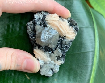 Flashy Pink Barite Flowers with Pointed Cerussite Crystals on Gorgeous Shiny Galena Base | Natural Raw Healing Mineral Crystal Specimen