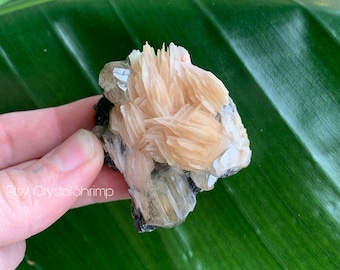 Flashy Pink/Peach Barite Flowers on Sparkly Gem Galena with Gorgeous Etched Cerussite Crystals | Rough Natural Healing Mineral Specimen Mix