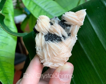 Flashy Pink Barite with Bubbly Metallic Gem Galena and Cerussite Crystals | Natural Raw Rough Healing Mineral Specimen