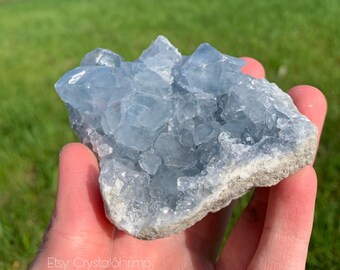 Celestite Cluster | Natural Raw Rough Crystal Mineral Gorgeous Rainbow Filled Blue Stone