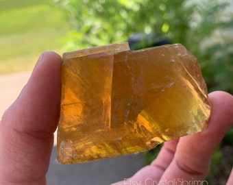 Dark Honey Calcite UV Reactive with Rainbows | Smooth Raw Rough Dark Gold Yellow Natural Crystal Mineral