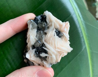 Pink Barite Flowers/Blades on Sparkly Metallic Galena with Gemmy Cerussite Mineral Mix Specimen | Natural Raw Healing Crystal High Quality