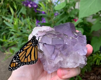 Purple Cubic Fluorite (Frosted Look) Natural Rough Healing Meditation Crystal