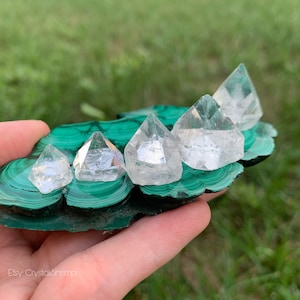 May include: A hand holding a piece of green malachite with five clear quartz crystal points. The malachite has a layered, swirled pattern. The crystals are arranged in a row, each with a distinct, pointed shape. The background is blurred green grass.