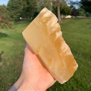 Honey Pineapple Calcite 1.7lbs Two Toned Yellow Calcite Natural Smooth Raw Meditation Healing Crystal Mineral