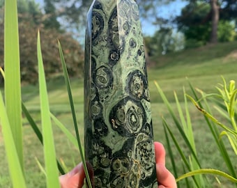Large Kambaba Jasper Polished Point Tip Tower | Natural Stromatolite crystal mineral stone rock