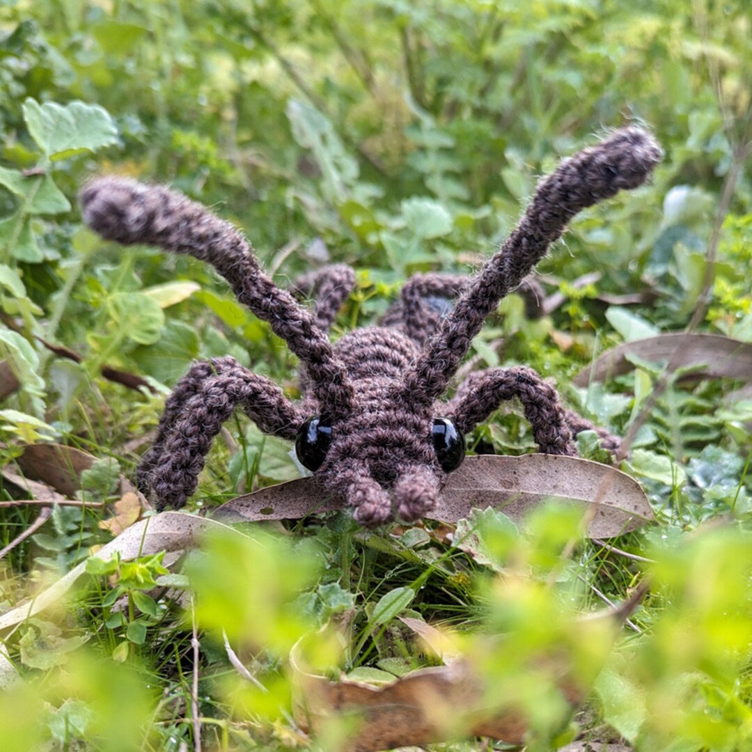 Bull Ant Crochet Pattern: Amigurumi Insect Toy (PDF Pattern) - Etsy