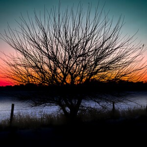 Winter Sunset Digital Photo | Tree Silhouette Digital Print Download | Home Decor Digital Art Print | Photography Prints | Printable Art