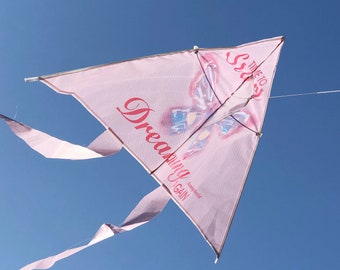 Pink Flying Kite | Blue Flying Kite | Dreamy Flying Kite | Outdoor Toys | Picnic | Camping