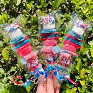 10+ Custom Patriotic Candy Kabobs! 4th of July Party Favors, Birthday Party Favors, 4th of July Kids Favors, Red White and Blue Candy
