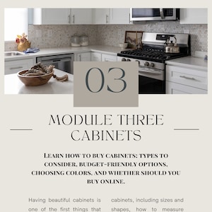 Kitchen Design Course - Module 3 Different Types of Cabinets and Which is Right for You for DIY Home Remodel Kitchen Design