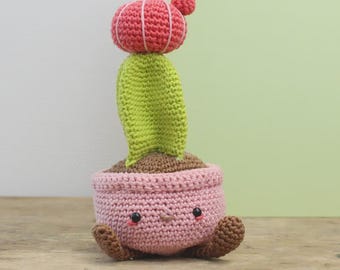 Moon Cactus Diy crochet kit