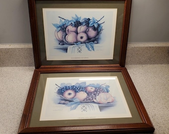 2 VTG Wood Framed Apple Fruit Still Life Prints Pictures 15x12 Signed Print