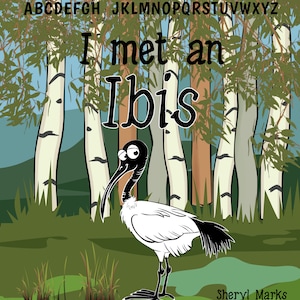 I met an Ibis
