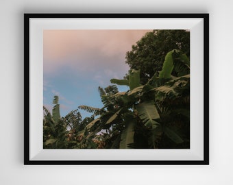 El Salvador Tropical Wall Art Print, Gift for Nature Love