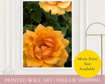 Orange Flower Print, Rose Wall Art, Photography Print, Floral Print, Flower Poster, Floral Wall Decor, Decorative Wall Art
