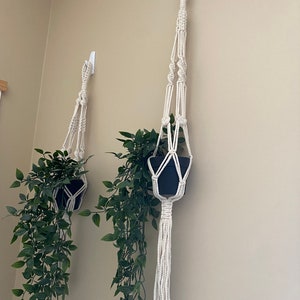 Pode incluir: Dois suportes de plantas de macram&eacute; com vasos pretos e plantas verdes pendurados em ganchos brancos em uma parede bege.