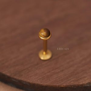 G23 Titanium - 16G 18G 20G Threadless Piercing - Tiger's Eye Conch Stud - Nap Earrings - Hypoallergenic Piercing Stud - Push Pin Stud