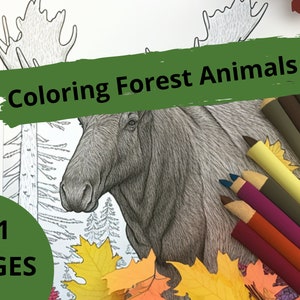 11 Forest Animals Coloring Pages, Adults Kids Coloring Pages, Printable Coloring Pages, DIGITAL