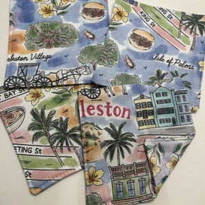 Posavasos de Charleston Carolina del Sur en caja de regalo, regalos para menores de 25 años, regalos de Charleston SC, regalos de Carolina del Sur, Rainbow Row, Charleston Souveiner