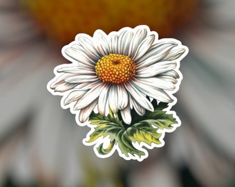 Puede incluir: Una pegatina con una ilustración detallada de una margarita. La margarita tiene pétalos blancos que rodean un centro amarillo-anaranjado. Se ven hojas verdes en la base de la flor. La pegatina tiene un borde blanco.