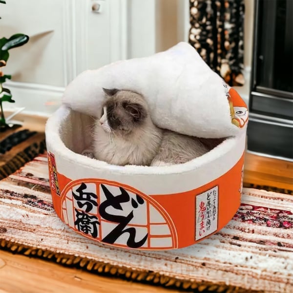 Cup Noodle Cat House Etsy