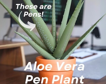 Aloë Vera Penplant! Elke stengel is een volledig functionele plant! Perfect voor bureaus