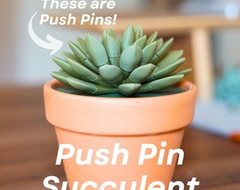 3D-geprinte push-pin succulent-de bladeren zijn push-pins! Functionele planten