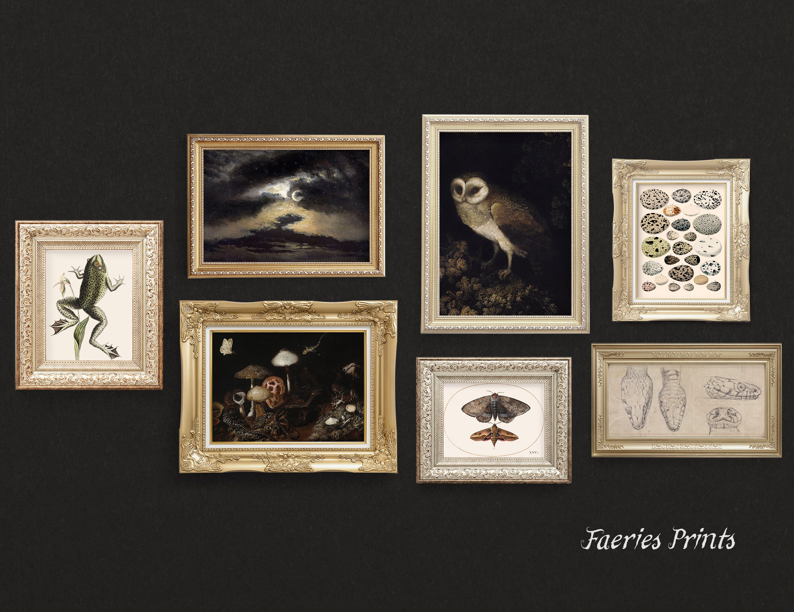 Dark Academia Wall Art Set Study Room Decor Bundle Magical - Etsy
