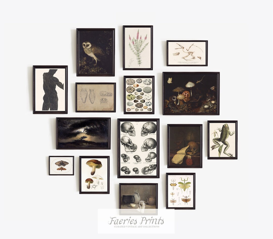 Dark Academia Wall Art Set Study Room Decor Bundle Magical - Etsy