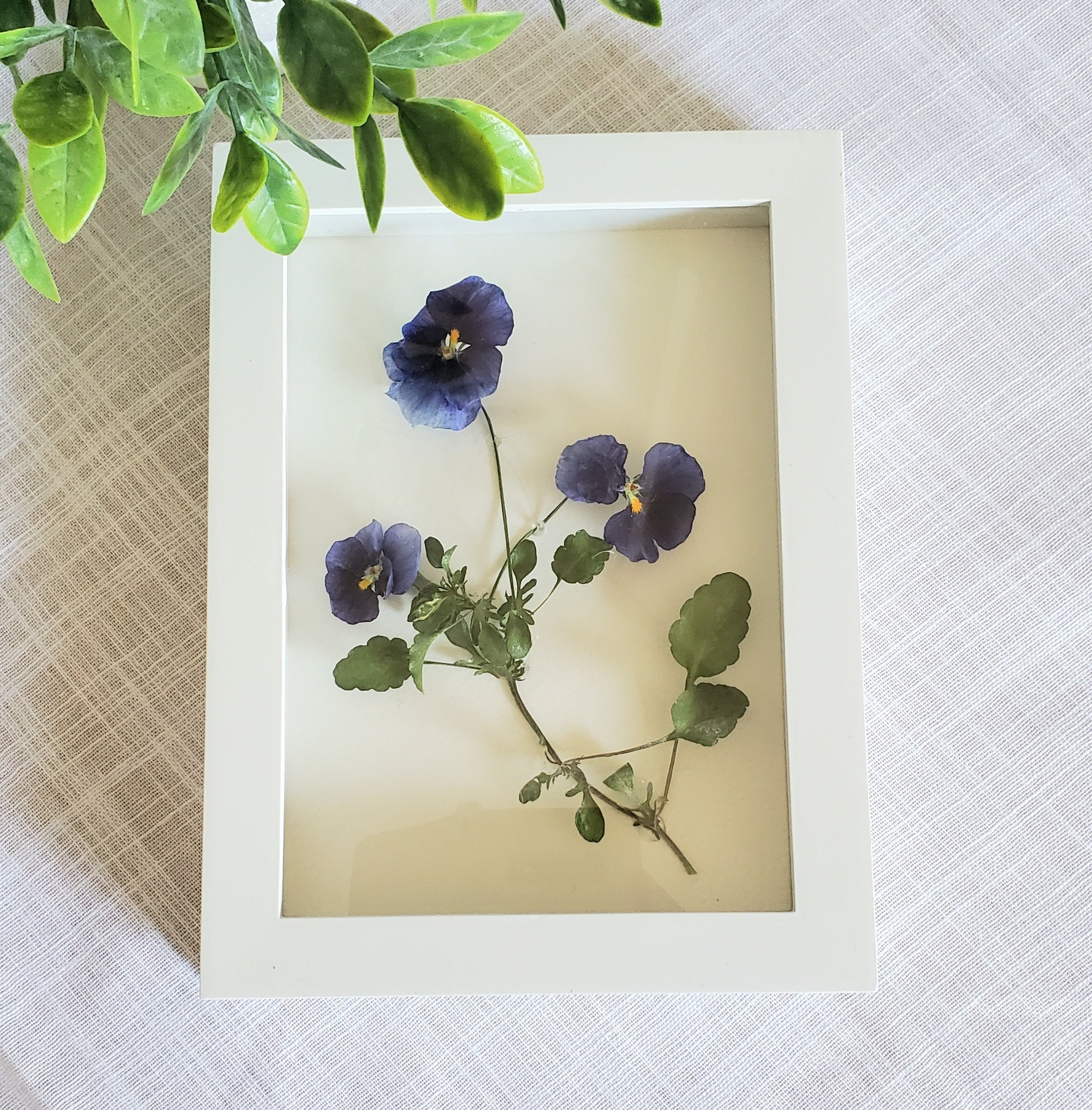 Dried Flower Wall Frame Pansies Pressed Flower Frame Flower Etsy