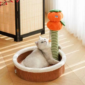 Cat Scratcher & Bed Festival Good Luck