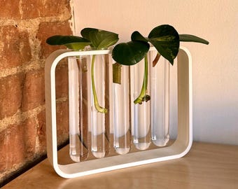 Propagation Station with Glass Test Tubes – Modern Plant Holder
