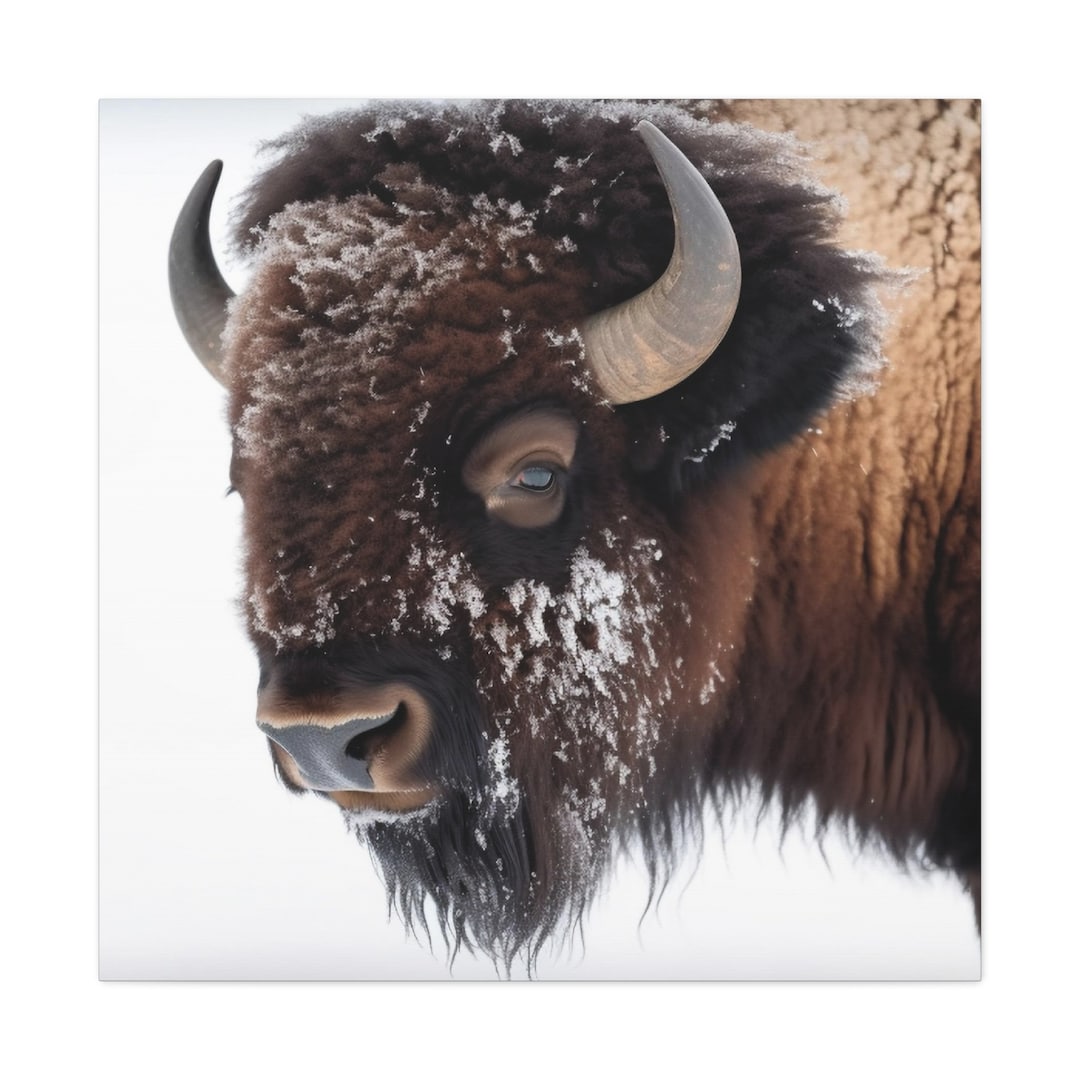 Buffalo Art Print Wall Art Canvas Wallart, American Buffalo Artwork ...