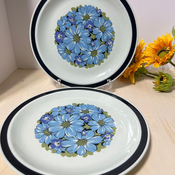 Vintage 1970’s Designer’s Collection Stoneware Blue Shasta Dinner Plates